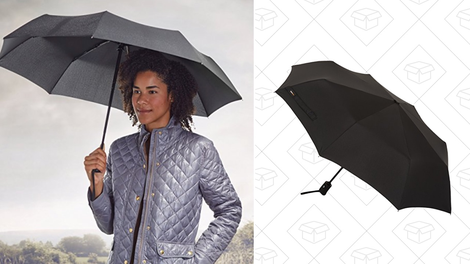 AmazonBasics Automatic Travel Umbrella | $10 | Amazon
